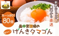 畠中育雛場のげんきタマゴん 80個 《30日以内に順次出荷(土日祝除く)》福岡県 鞍手郡 小竹町 卵 送料無料 有限会社畠中育雛場