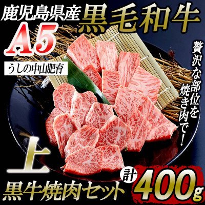 ふるさと納税 志布志市 鹿児島県産黒毛和牛A5ランク上焼肉セット400g