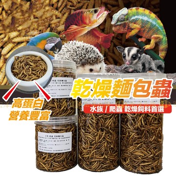 宏洋推薦【乾燥麵包蟲✅麵包蟲乾】低溫烘乾保留完整營養（爬蟲／魚飼料、守宮、蜜袋鼯、刺蝟、倉鼠、柯爾鴨、蜥蜴、鳥、鸚鵡
