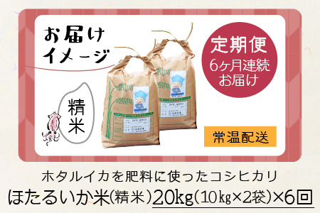 ほたるいか米（精米20kg）×6回 計120kg