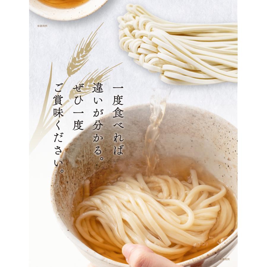 送料無料 半生うどん 9食 （300g×3）麺のみ 讃岐うどん ポイント利用 お試し ポイント消化 ご当地グルメ 食品 産直 おすすめ ポイント消費 食品 お取寄せ 香川