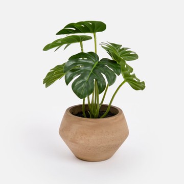艾禮思擬真盆栽龜背葉20cm