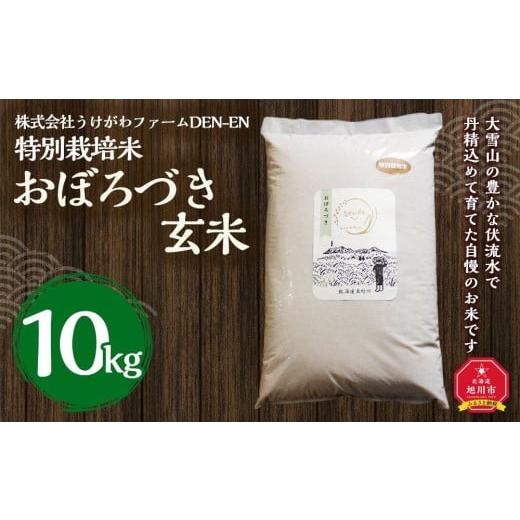 ふるさと納税 北海道 旭川市 特別栽培米　おぼろづき玄米　10kg　令和5年産　新米