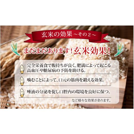 ふるさと納税 福井県 永平寺町  令和5年度産 永平寺町産 農薬不使用・化学肥料不使用 特別栽培米 コシヒカリ 2kg×6ヶ月…