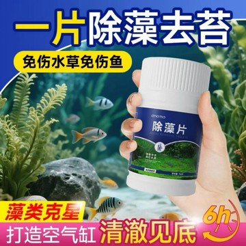 🔥99免運隔日達8H⚡️鱼缸除藻片绿水黑毛褐藻水藻青苔水质绿灭藻水除苔剂净/水箱