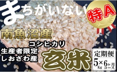 玄米 生産者限定 南魚沼しおざわ産コシヒカリ5Kg×6ヶ月