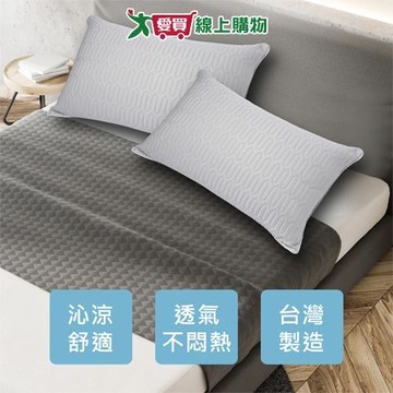 RR 冰絲乳膠獨立筒枕 45x72cm 乳膠填充 冰涼紗 獨立筒支撐核心 不悶 透氣 枕頭 枕【愛買】