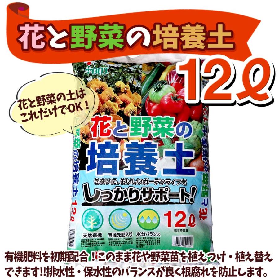 野菜苗＆資材セット 極甘！スイーツキャベツ（フルーツ並みの糖度で芯も美味しいキャベツ！）