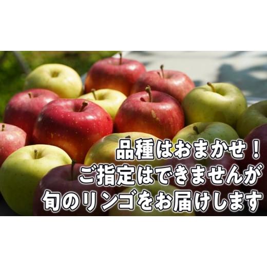 ふるさと納税 青森県 弘前市 8〜12月発送旬のリンゴ詰め合わせ 約5kg 糖度13度以上