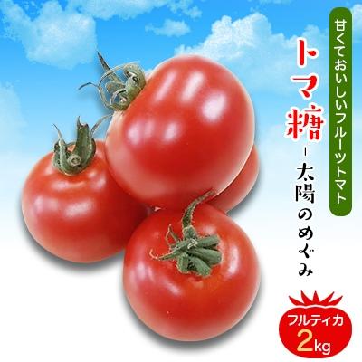 ふるさと納税 南アルプス市 おいしい〜甘〜いフルーツトマト「トマ糖‐太陽のめぐみ」フルティカ2kg