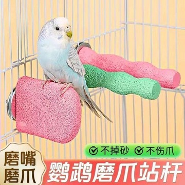 🔥臺灣熱賣⚡️鸚鵡站棒磨爪啃咬站棍玄鳳磨砂玩具鸚鵡磨牙休息臺多功能磨砂站杆🎉
