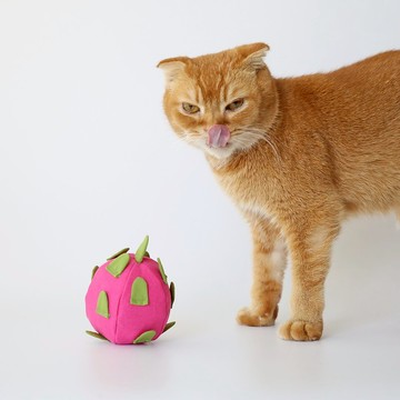 紅龍果 火龍果 手作 貓草玩具 可清洗 重複用