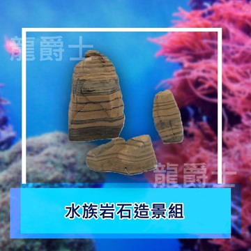 ✨現貨✨[龍爵士水族]水族岩石造景組 裝飾品 造景 擺飾 飾品 擺件 魚缸造景 魚缸擺飾 魚躲藏    Z14