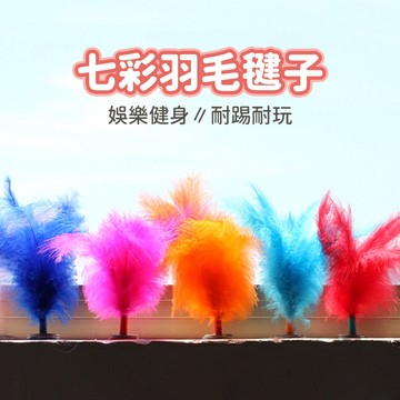 台灣現貨🚚 七彩羽毛毽子 毽子 運動用品 戶外休閒玩具 運動玩具 體育用品