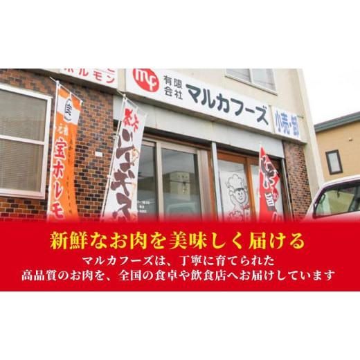 ふるさと納税 北海道 旭川市 骨付き ラムチョップ ジンギスカン (約100g×5本入)×2 計1kg