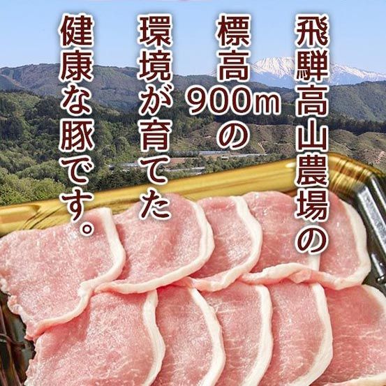  豚肉 焼肉 しゃぶしゃぶ とんかつ 国産 飛騨豚 ロース 500g 3人前