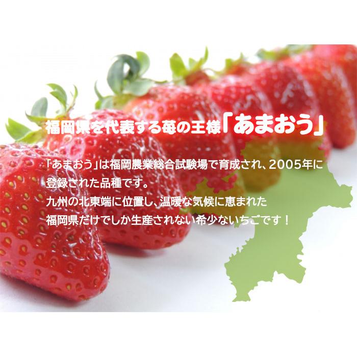 いちご あまおう グランデ Ｇ 300ｇ×2パック 福岡県産 苺 イチゴ ギフト お取り寄せ