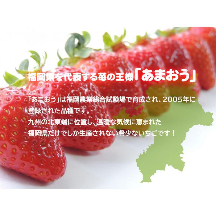 いちご あまおう デラックス ＤＸ 大粒 7〜11粒 300ｇ×2パック 福岡県産 苺 イチゴ ギフト お取り寄せ