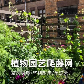 【五金用具】植物爬藤網 花卉種植瓜果絲瓜黃瓜百香果吊瓜葡萄豆角園藝攀爬苦瓜