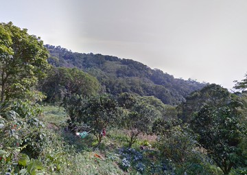 專約-陽明山優美農地誠意出價談｜台北市北投區大屯段一小段