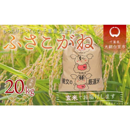 ふるさと納税 千葉県 大網白里市 令和5年産 千葉県産「ふさこがね」玄米20kg（20kg×1袋） お米 20kg 千葉県産 大網白里市 ふさこがね 米 玄米 こめ …