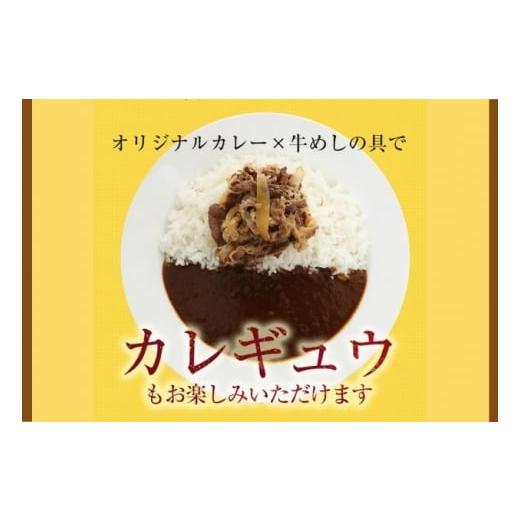 ふるさと納税 埼玉県 嵐山町 松屋 カレー 牛めし 10個 セット 冷凍 牛丼 カレー　