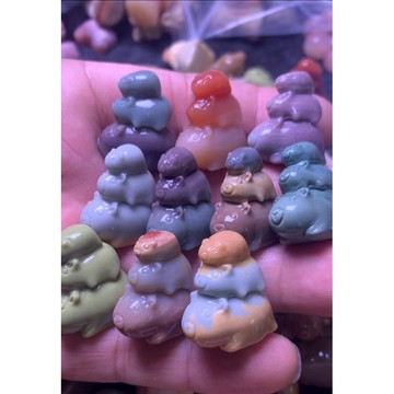 阿拉善彩玉卡皮巴拉 阿拉善水豚