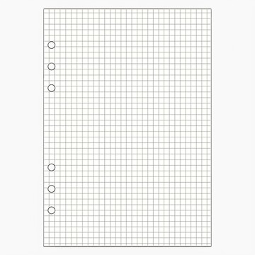 Raymay 藤井 Davinci A5 100枚入 DAR4522  方眼格  1本