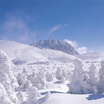 清艙↘威風濟州冬雪-(不走人蔘+保肝+土產)~漢拏山賞雪、鐵道自行車、跆拳武藝秀、騎駱駝、小熊軟糖世界、綠茶足浴體驗、澎派海鮮鍋&烤肉吃到飽五日