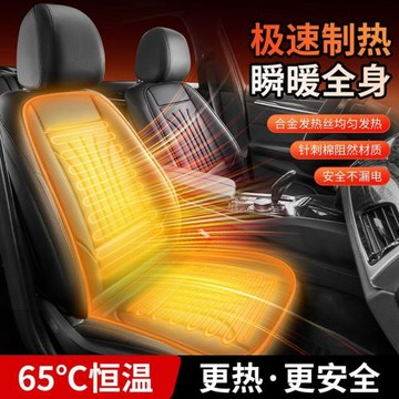 汽車加熱坐墊冬季12V24V車載座椅電加熱座墊保暖毛絨單雙電熱褥子