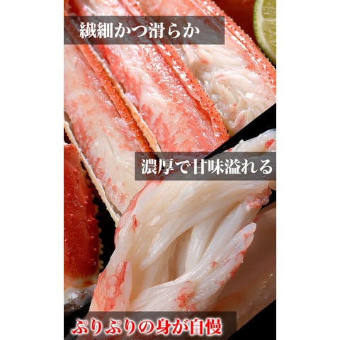 3kg前後 5～6尾 ズワイガニ姿[ずわい蟹 味噌みそ][業務用 大容量 3キロ][ボイル加熱済み急速冷凍][カニパーティー]