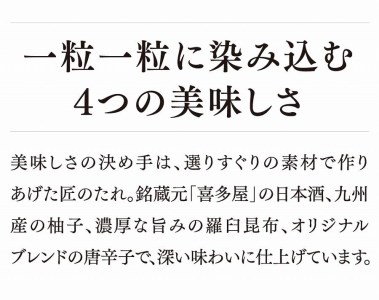 美味 辛子明太子 500g 福岡 グルメ めんたい 朝ごはん お取り寄せ お土産 セット