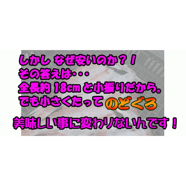 干しのどぐろ　(開き真空パック)　5尾＜日本海産・山陰沖＞