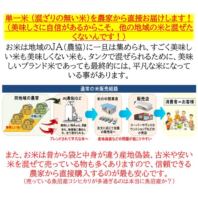 減農薬　新潟コシヒカリ白米900g　[送料無料！]　令和５年産新米　新潟県三条市旧しただ村産　新潟県認証　特別栽培米100%　白雪美人　グルテンフリー