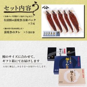 ふるさと納税 楠田の極うなぎ 蒲焼き 170g以上×5尾(計850g以上) c7-004 鹿児島県志布志市