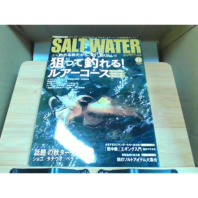 SALT WATER　2013年11月号　付録無し 2013年11月1日 発行