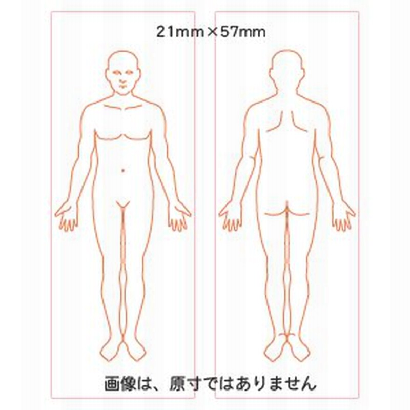 人体図 スタンプ 学校 医学 病院 カルテ 全身図 前 後向き お得セット スタンプ台不要 通販 Lineポイント最大0 5 Get Lineショッピング