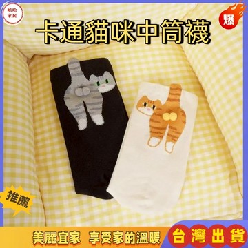 優選🏆白色卡通貓咪叮叮噹蛋蛋襪子貓咪 橘貓襪 貓蛋襪 蛋蛋襪 搞怪襪 卡通貓咪叮叮噹蛋蛋襪子女夏季外穿ins日係搞怪