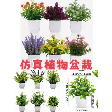 大自然課程教具 🌿 仿真植物盆栽｜6盆一組  園藝裝飾 植栽 盆栽 乾燥花 人造花 辦公室裝飾 客廳花園裝飾 假花免澆水