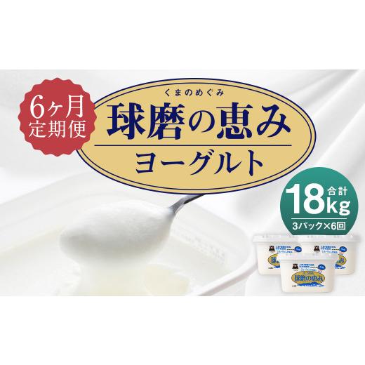 ふるさと納税 熊本県 人吉市 球磨の恵み ヨーグルト 加糖 1kg×3パック×6 合計18kg