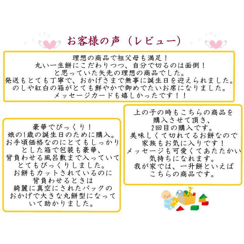 一升餅 人気 送料無料 シンプルセット 一生餅 背負い餅 一升餅 カット 済み 不織布風呂敷付 丸いお餅 も選べます