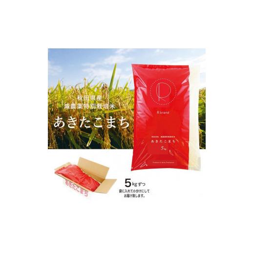 ふるさと納税 秋田県 秋田市 令和5年産 あきたこまちプレミアム　減農薬特別栽培米（5kg入り×2袋）