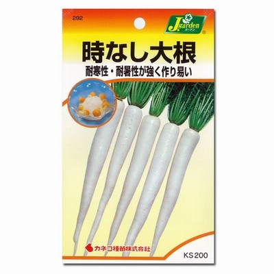トーホク かわいい大根 小太郎 種 家庭菜園 プランター栽培 だいこん たね 野菜 ダイコンのタネ メール便対応 通販 Lineポイント最大0 5 Get Lineショッピング