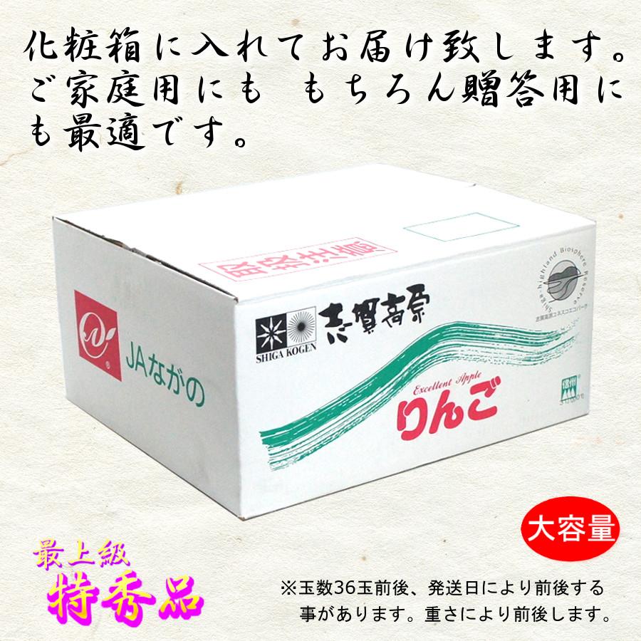 サンふじ りんご 10kg 甘い 特秀 長野県 林檎 通販 送料無料 12月 旬 果物 贈答 ギフト 大容量