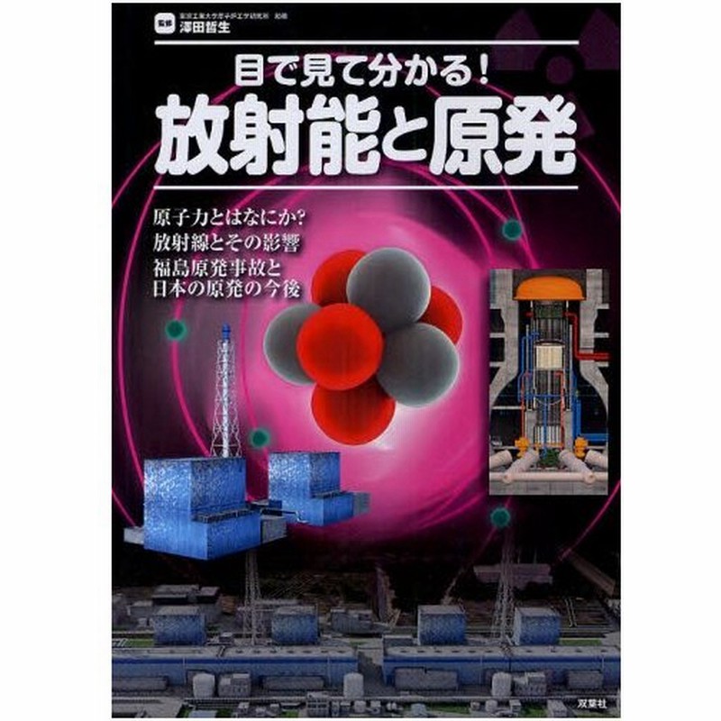 目で見て分かる 放射能と原発 Cgとイラストで丁寧に解説 原子力ってなに 通販 Lineポイント最大0 5 Get Lineショッピング