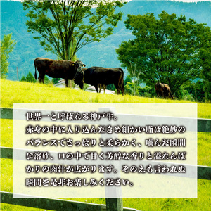 神戸牛サーロインステーキ(200g×3枚)《 肉 牛肉 牛 神戸牛 国産牛  サーロイン ステーキ 》