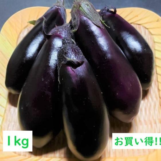 野菜 茄子  南国高知でつくった高知なす 1kg 産地直送