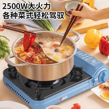 脈鮮（MAXSUN）戶外便攜卡式爐 MS-521野炊瓦斯爐 自駕燒烤爐具