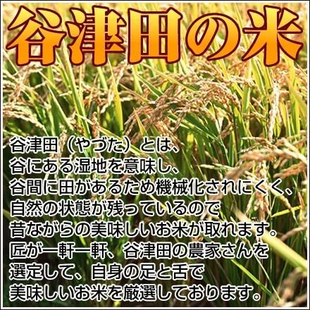 新米 米 10kg （5kg×2） 白米 令和5年 千葉県産 粒すけ お米 精米 送料無料 ※地域によりまして別途送料が発生致します。