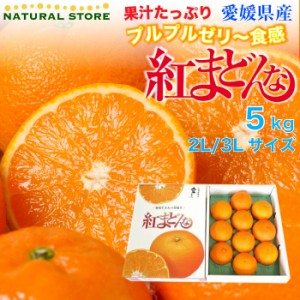 [予約 12月31日必着] 紅まどんな 5kg 2L 3L サイズ あいか 愛媛県産 化粧箱 冬ギフト お歳暮 御歳暮 大晦日必着